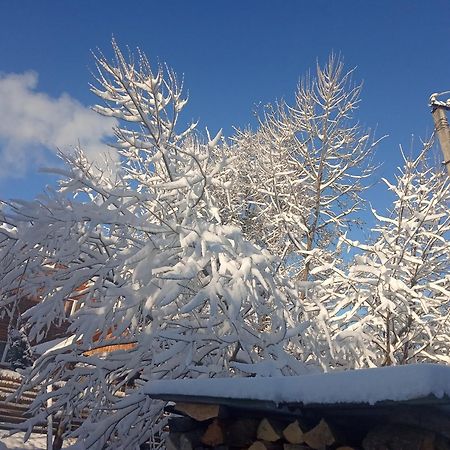 У Олега Verkhne-Studenyy Exterior foto