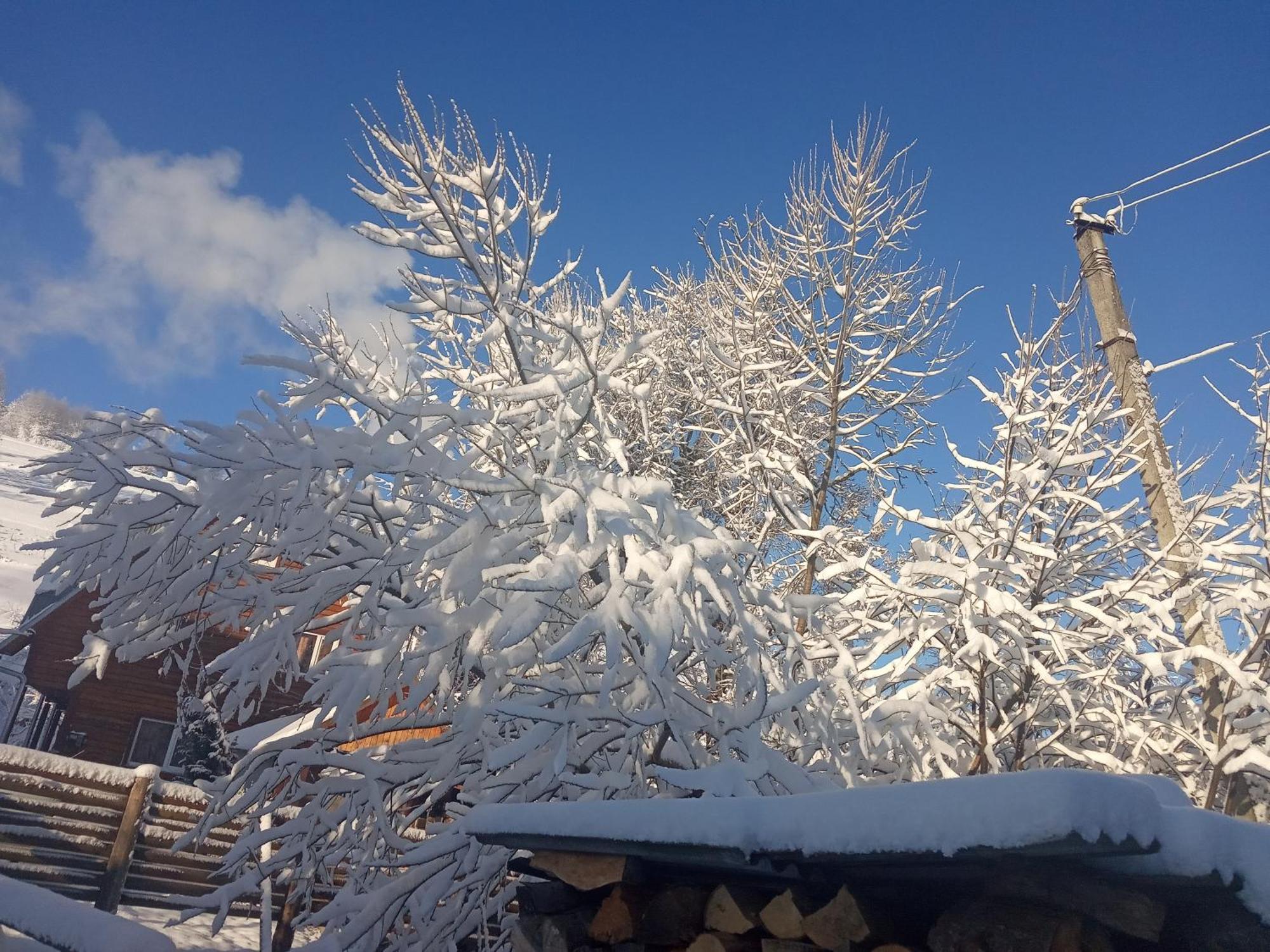 У Олега Verkhne-Studenyy Exterior foto
